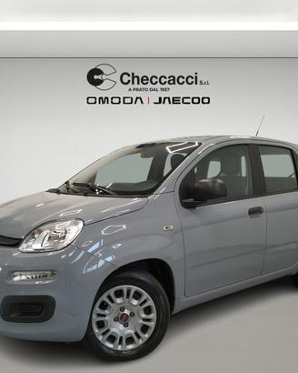 FIAT Panda 3ª serie Panda 1.0 FireFly S&S Hybrid