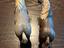 Immagine 4