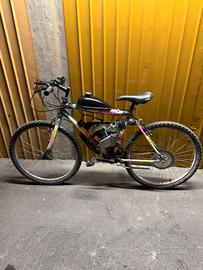 bici con motore 