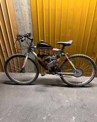 bici con motore 
