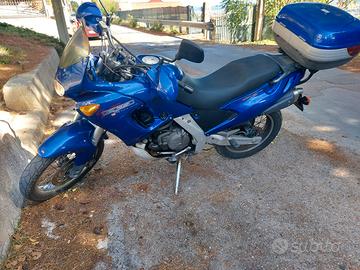 Aprilia Pegaso 650 - 2002