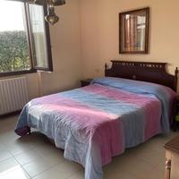 Camera vintage con rete