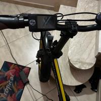 Bicicletta elettrica
