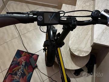 Bicicletta elettrica