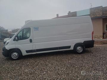FIAT DUCATO FRIGO ANNO 2020