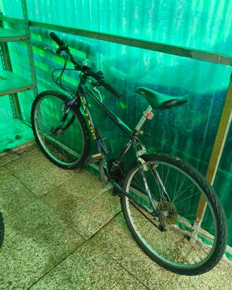 bicicletta montanbike