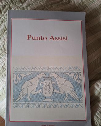 Libro Punto Assisi.
