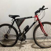 Bicicletta Laser