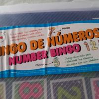 Gioco Bingo dei numeri in Inglese