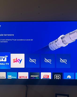 Sky glass 65