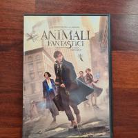 DVD Animali Fantastici