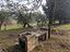 Immagine 26