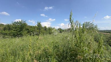 TERRENO A NOVI LIGURE