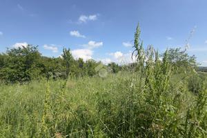 TERRENO A NOVI LIGURE