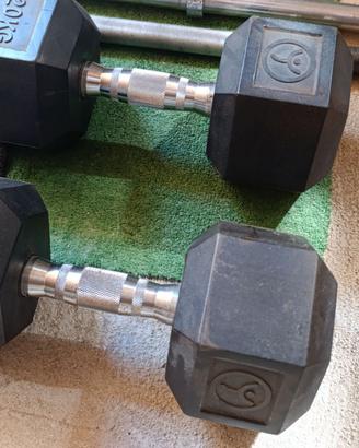 Manubri 20 kg toorx