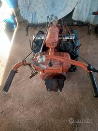   motocoltivatore pasquali di 12 cc 