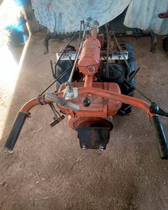   motocoltivatore pasquali di 12 cc 