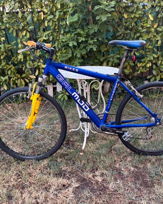 Bicicletta da strada gialla e blu - 21 rapporti