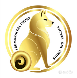 Cuccioli di shiba inu con pedigree disponibili