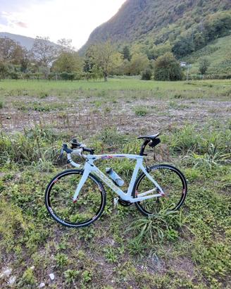 Bici  Pinarello Dogma F8 Wiggo Tribute