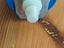Immagine 5