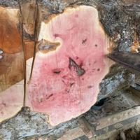 Legno artigianale - tavole, assi e rondelle