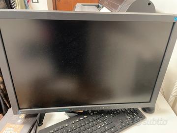 Monitor Eizo 24”