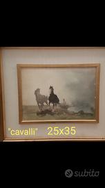 FALZONI  CAVALLI