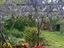 Immagine 28