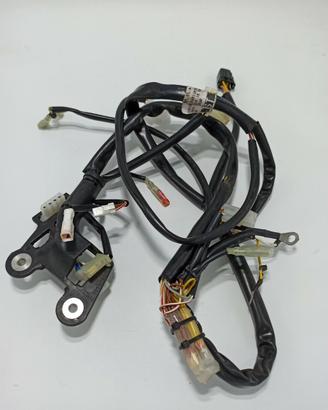 IMPIANTO ELETTRICO KTM EXC/ HSQ TE 250/300 2014-17