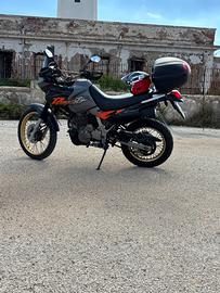 Honda Dominator 650