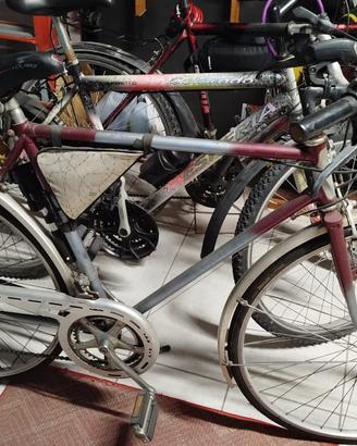 Bici non più utilizzate