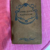 Flambosche. Romanzo anno 1930