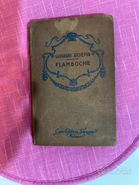 Flambosche. Romanzo anno 1930