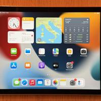 Apple iPad Air 2 128Gb WiFi+Cellular caricabateria