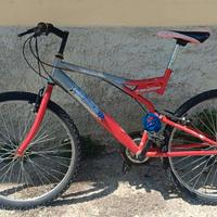 Mountain bike uomo