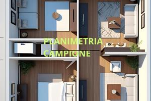 Ampio Trilocale 750 euro Box Incluso