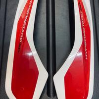 Carene codino Hypermotard 821 sp