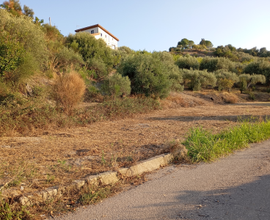 Terreno agricolo vista mare