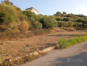 Terreno agricolo vista mare