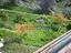 Immagine 11