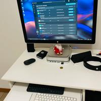 monitor 24”  apple