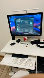 monitor 24”  apple