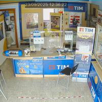 Attività ed arredamenti e attrezzature per neg