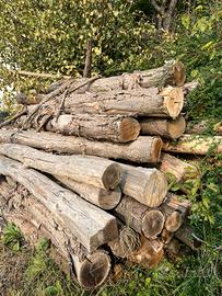 Pali castagno diametro 20