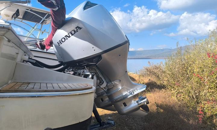 Coppia Honda Marine BF150 Piede XL