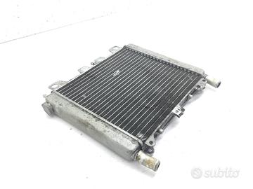 APRILIA SCARABEO LIGHT 250 RADIATORE ACQUA LIQUIDO