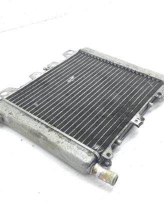 APRILIA SCARABEO LIGHT 250 RADIATORE ACQUA LIQUIDO