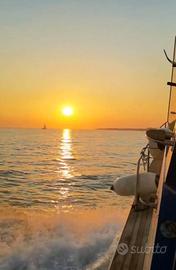 Gita barca da Anzio a Torre Astura