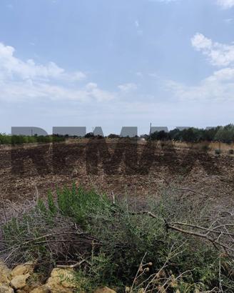 Terreno - Siracusa